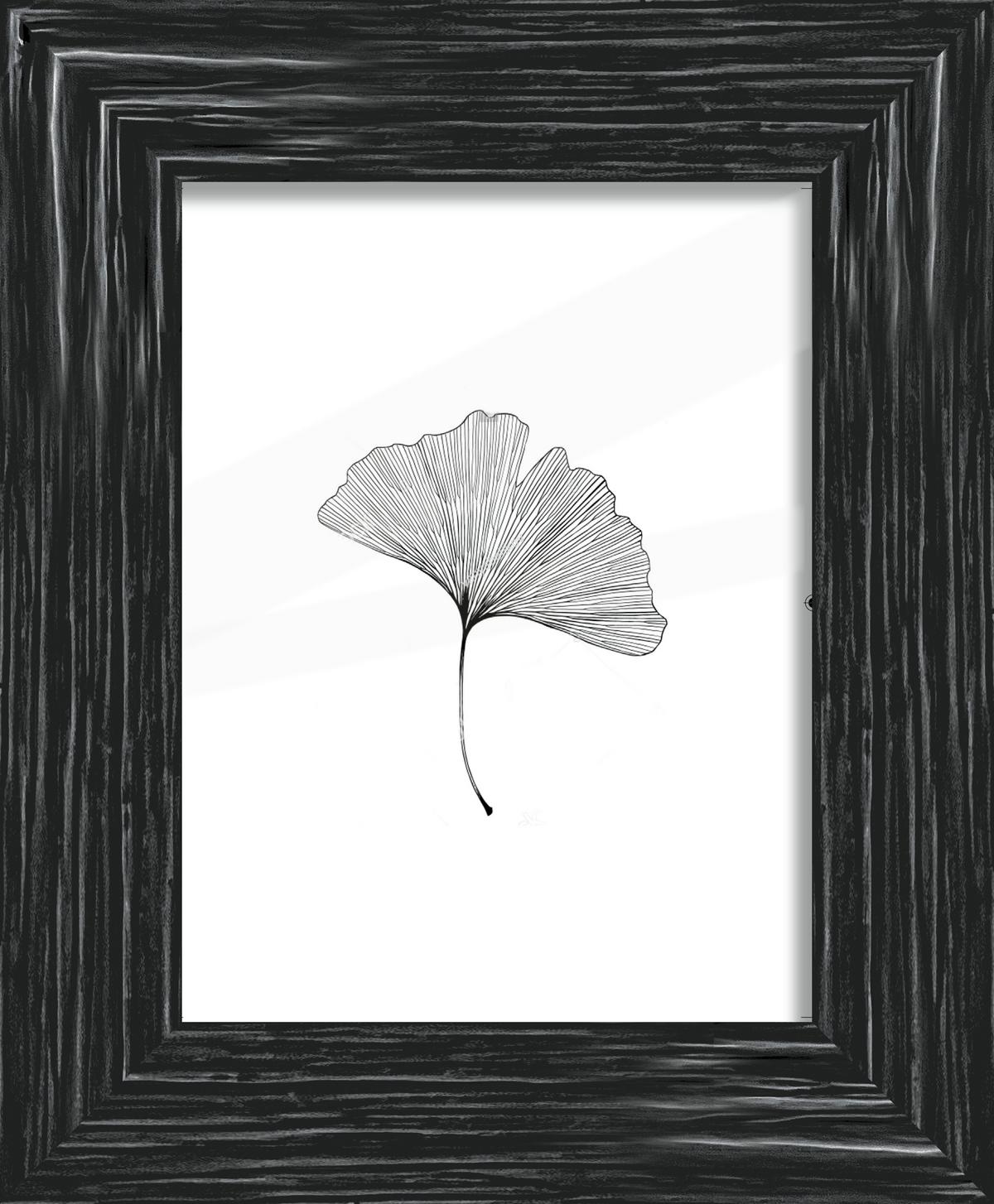 Rám na fotografie Frido, ca. 18/24cm - čierna, Romantik / Landhaus, drevo (18/24cm) - ecoTree