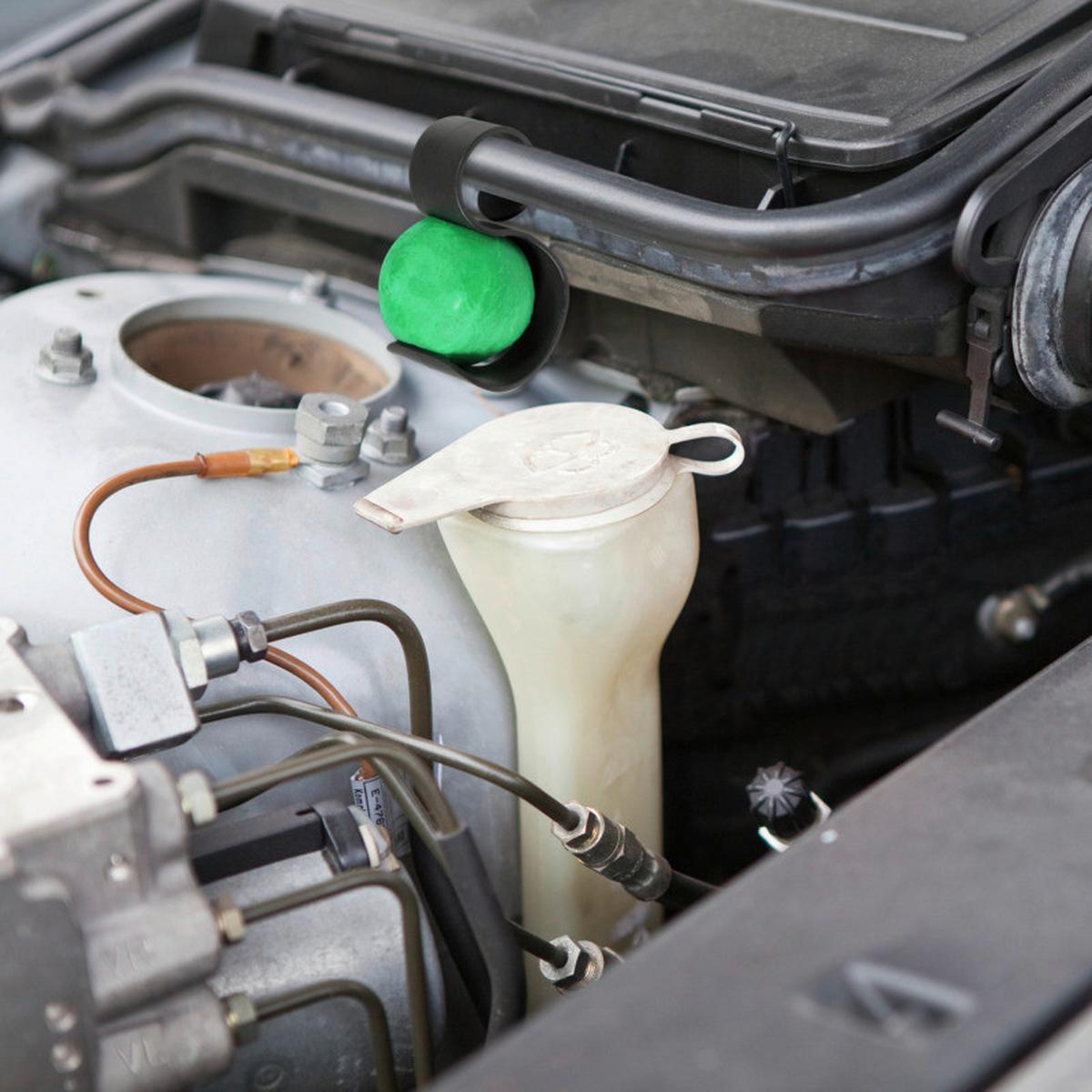 Marder-stopp Marderabwehr Kugeln - Schwarz/Grün, Basics (4/6/3,6cm) - Windhager