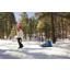 Snowtube Flurryz Child Sled - Blau/Gelb, MODERN, Kunststoff (46/84cm) - Bestway Snowtube Flurryz Child Sled - Blau/Gelb, MODERN, Kunststoff (46/84cm) - Bestway