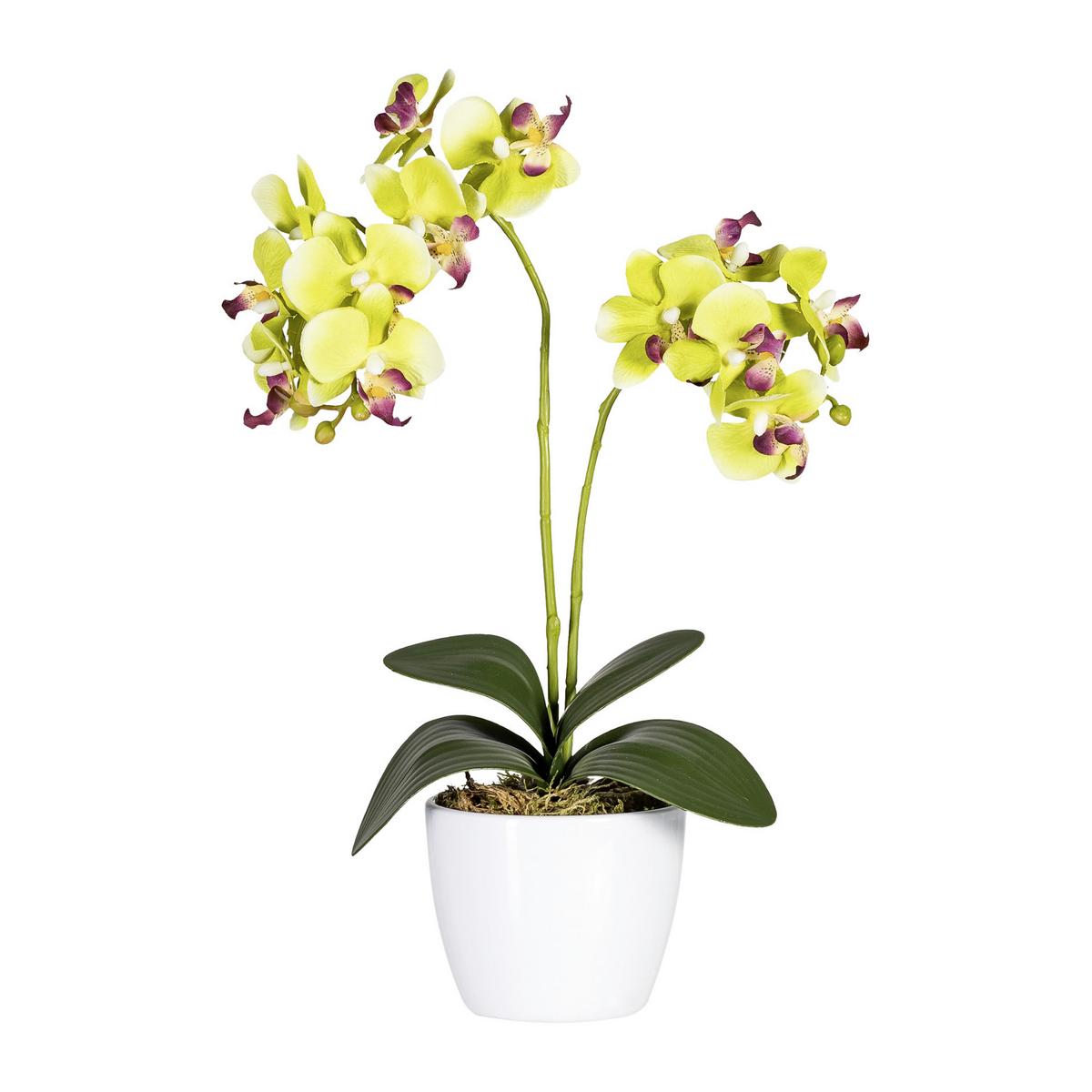 Kunstpflanze Orchidee Bunt H: 40 cm Im Topf, Sofie - Lila/Weiß, KONVENTIONELL, Keramik/Kunststoff (40cm)