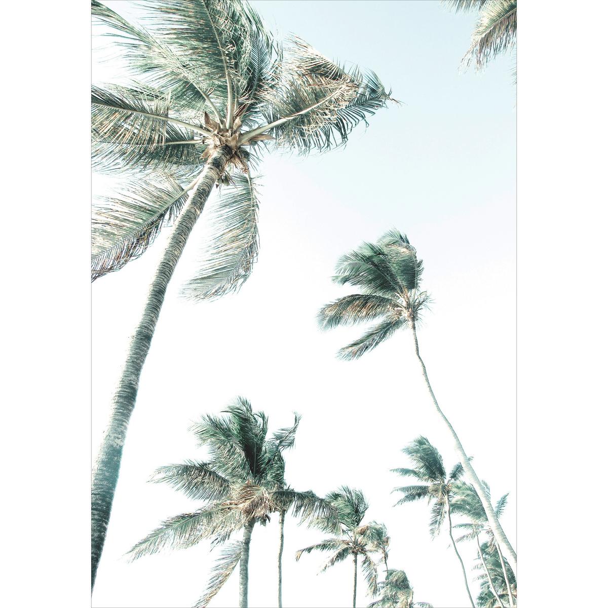 PLAKÁT VINCENT - vícebarevná, papír (21/30cm) - Modern Living