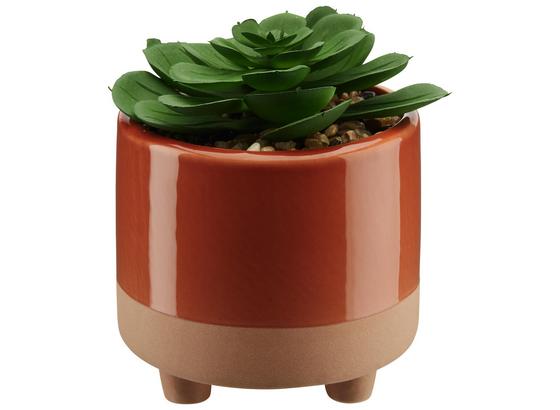 Rostlina Umělá Sukkulente - oranžová/pink, umělá hmota (10,5/13cm) - Mömax modern living Rostlina Umělá Sukkulente - oranžová/pink, umělá hmota (10,5/13cm) - Mömax modern living