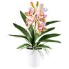 Kunstpflanze Orchideen Grün/Rosa, 53 cm - Rosa/Weiß, Design, Kunststoff (53cm) - P & B