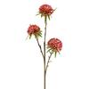 Allium H: 62 cm - Pink/Grün, KONVENTIONELL, Kunststoff (62cm)