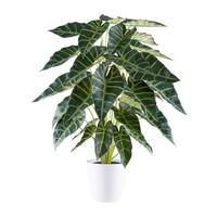 Kunstpflanze, Grün Inkl. Topf, Weiß, H: 68 Cm - Weiß/Grün, Design, Kunststoff (68cm) - P & B