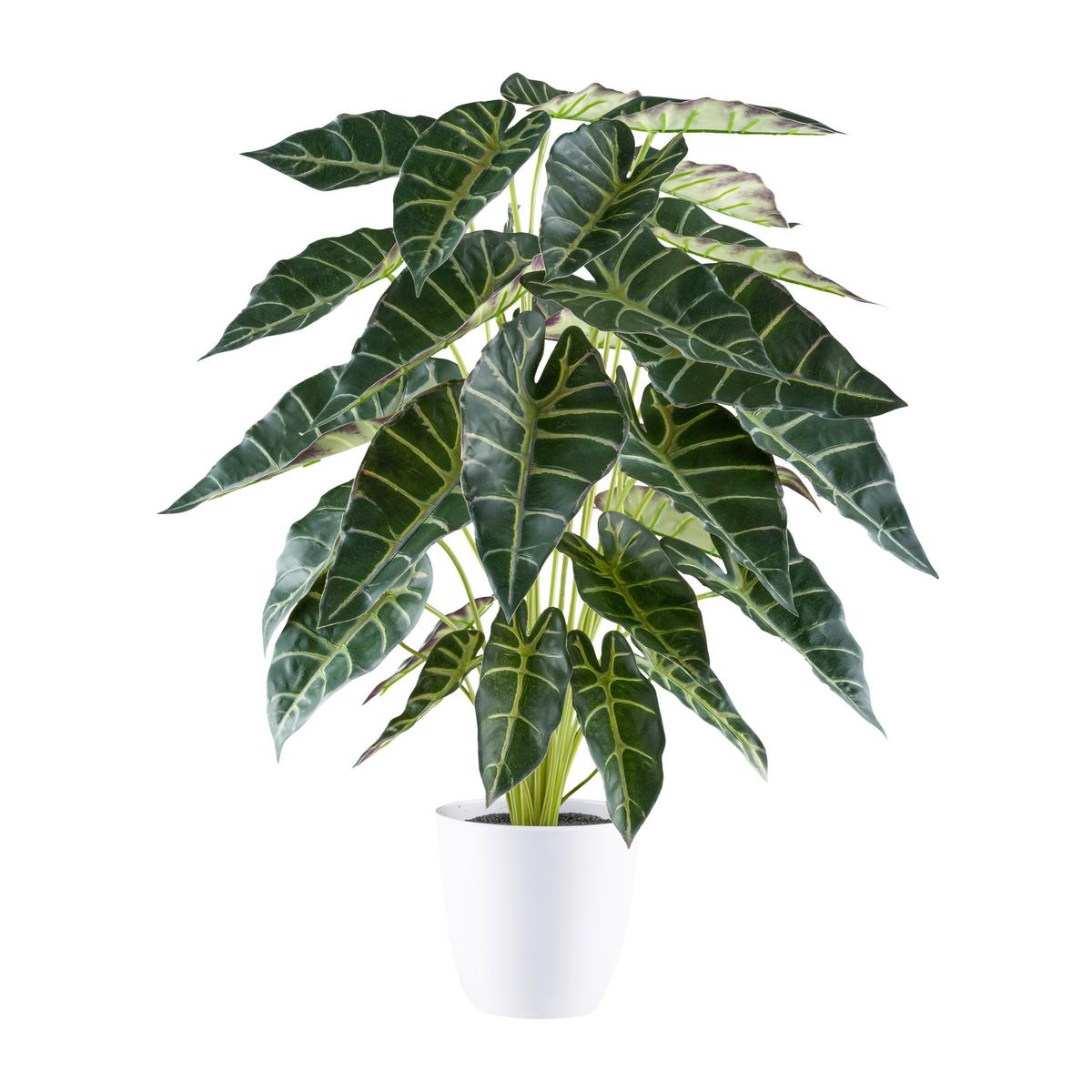 Kunstpflanze, Grün Inkl. Topf, Weiß, H: 68 Cm - Weiß/Grün, Design, Kunststoff (68cm) - P & B