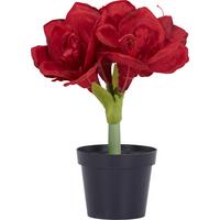 Amaryllis Kunststoff Dunkelrot H: 32 cm - Braun/Grün, KONVENTIONELL, Kunststoff (32cm)