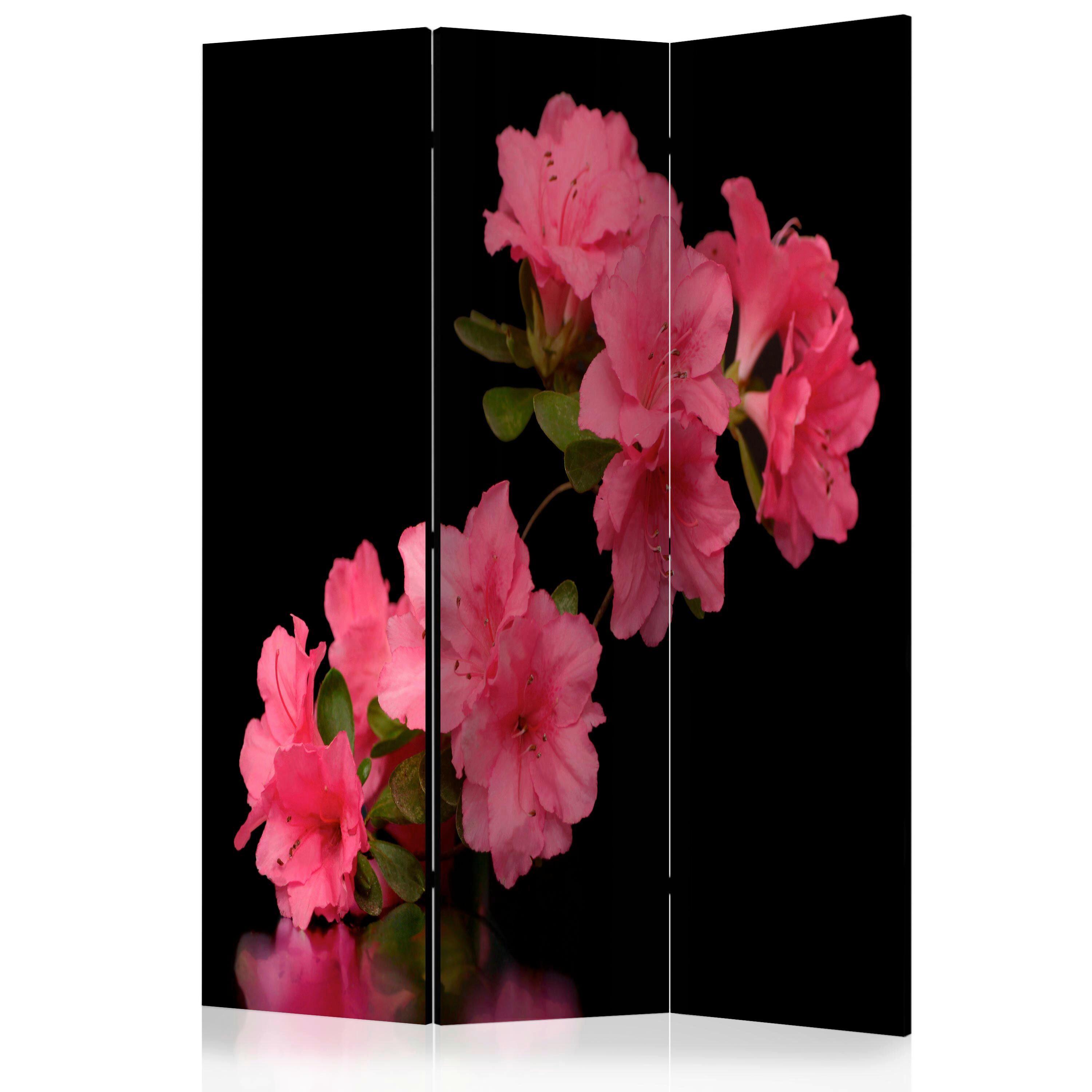 Paravent Schwarz Pink B: 135 cm