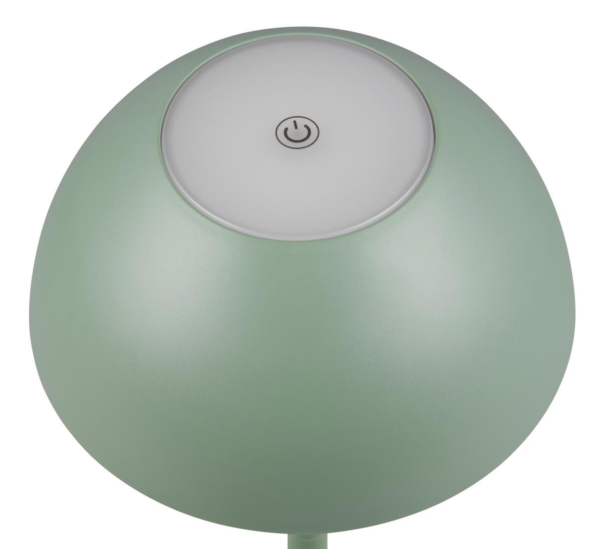 Akku-tischleuchte R54106149 Ricardo - Grün, Trend, Kunststoff (13,5/30cm)
