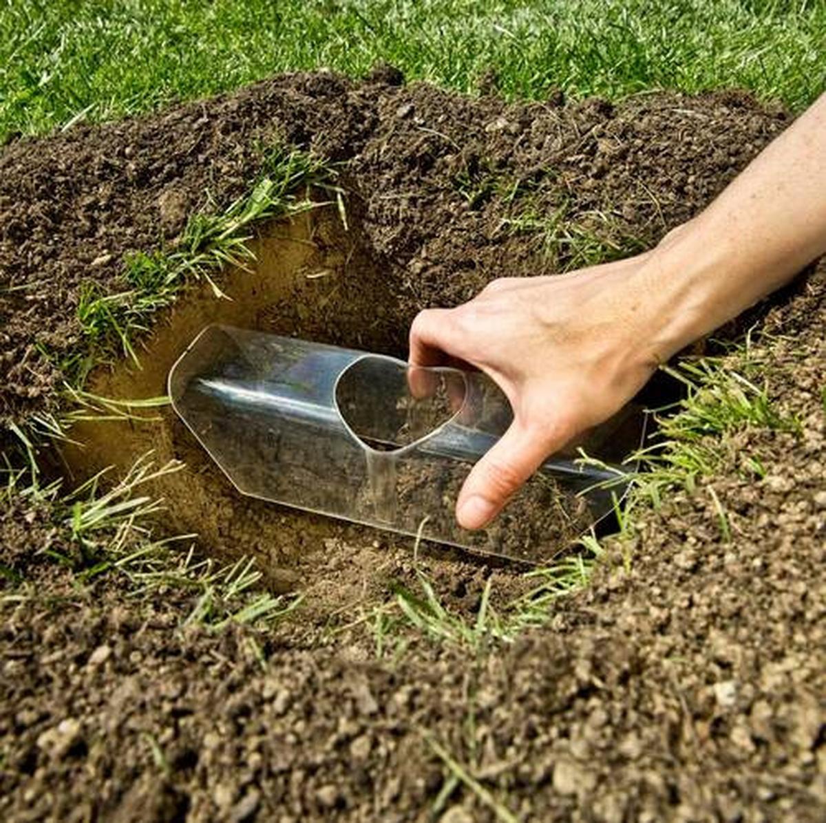 Wühlmausfalle Predator Schlagfalle Kunststoff - Transparent/Schwarz, Basics, Kunststoff (6,5/22/25cm)