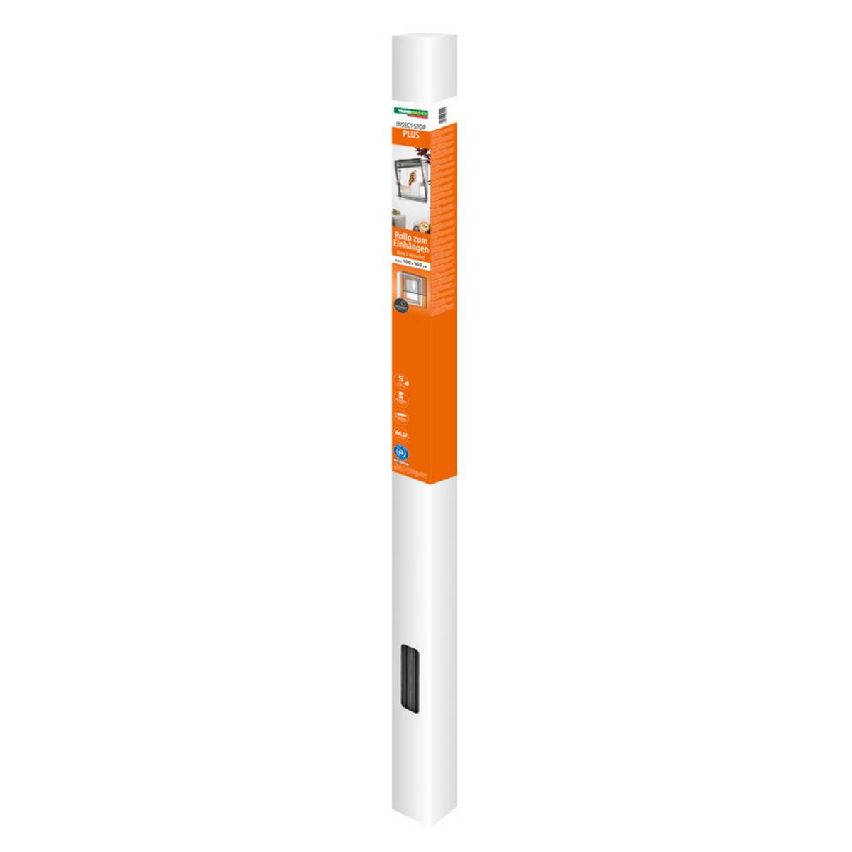 Rollo Is Plus Einhängerollo Anthraz. - Anthrazit, Basics (100/160cm)