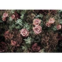 Fototapete 8-980 - Braun/Rosa, Natur, Papier (368/254cm) - Komar