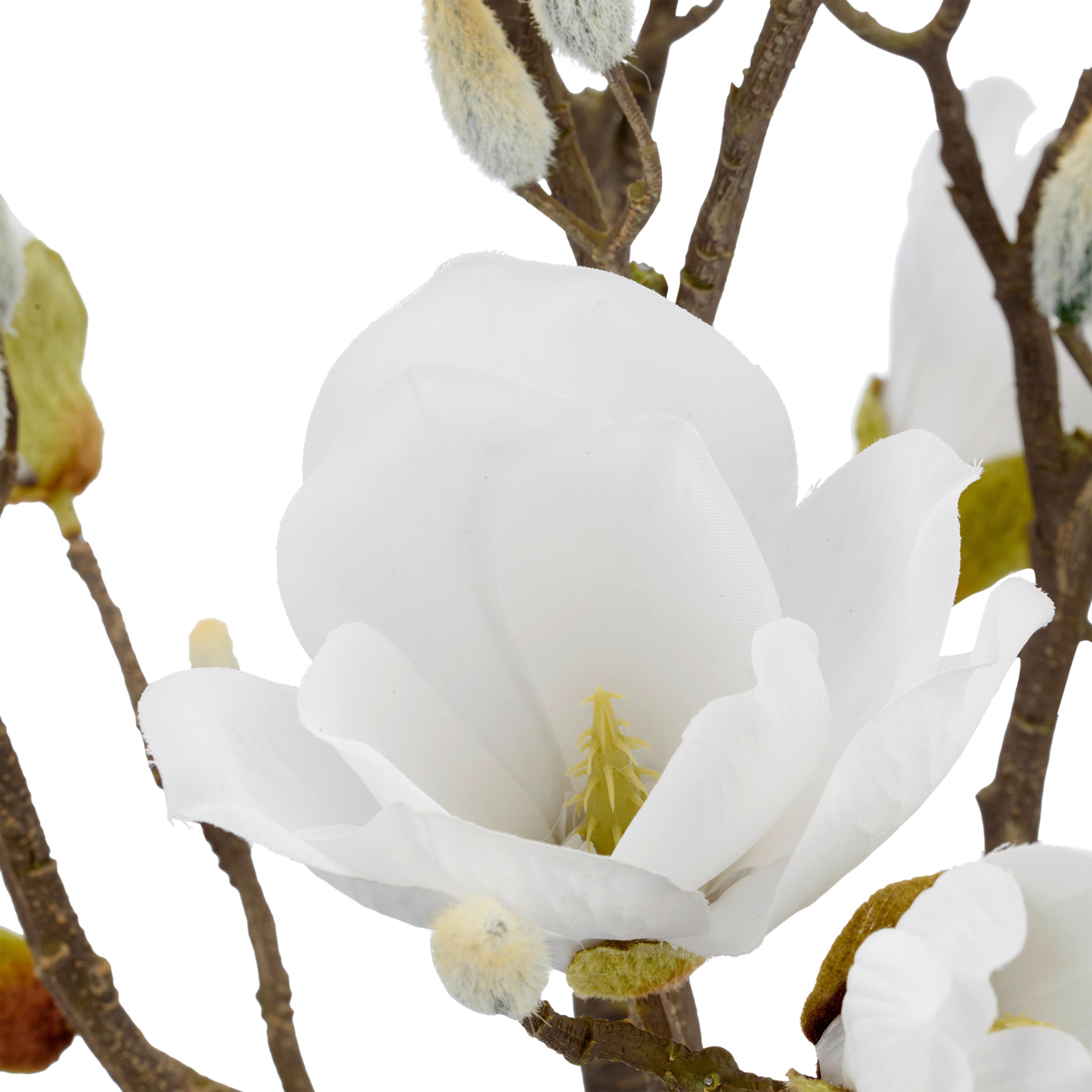 Umelá magnólia Výška 65 cm - hnedá/čierna, Basics, kov/textil (65cm) - Mömax