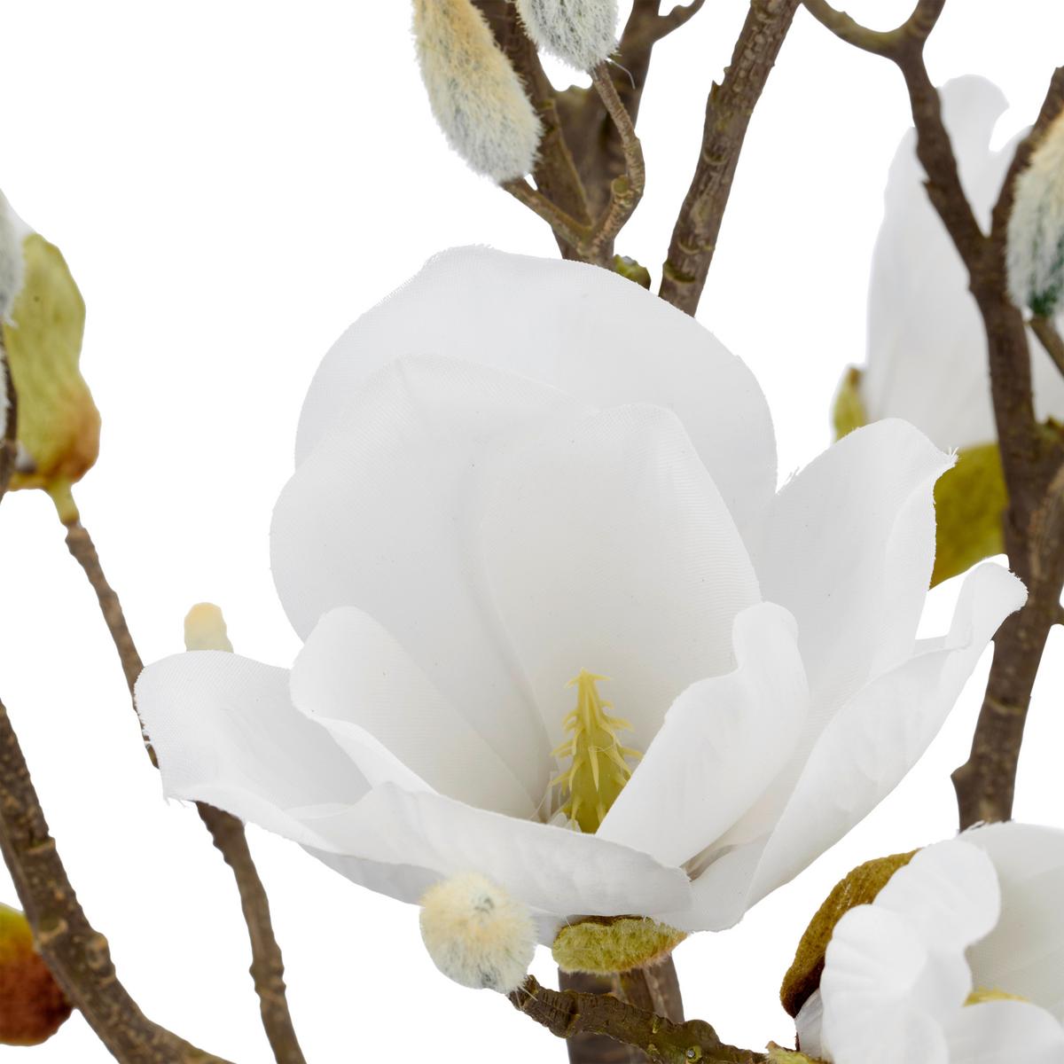 Umelá magnólia Výška 65 cm - hnedá/čierna, Basics, kov/textil (65cm) - Mömax