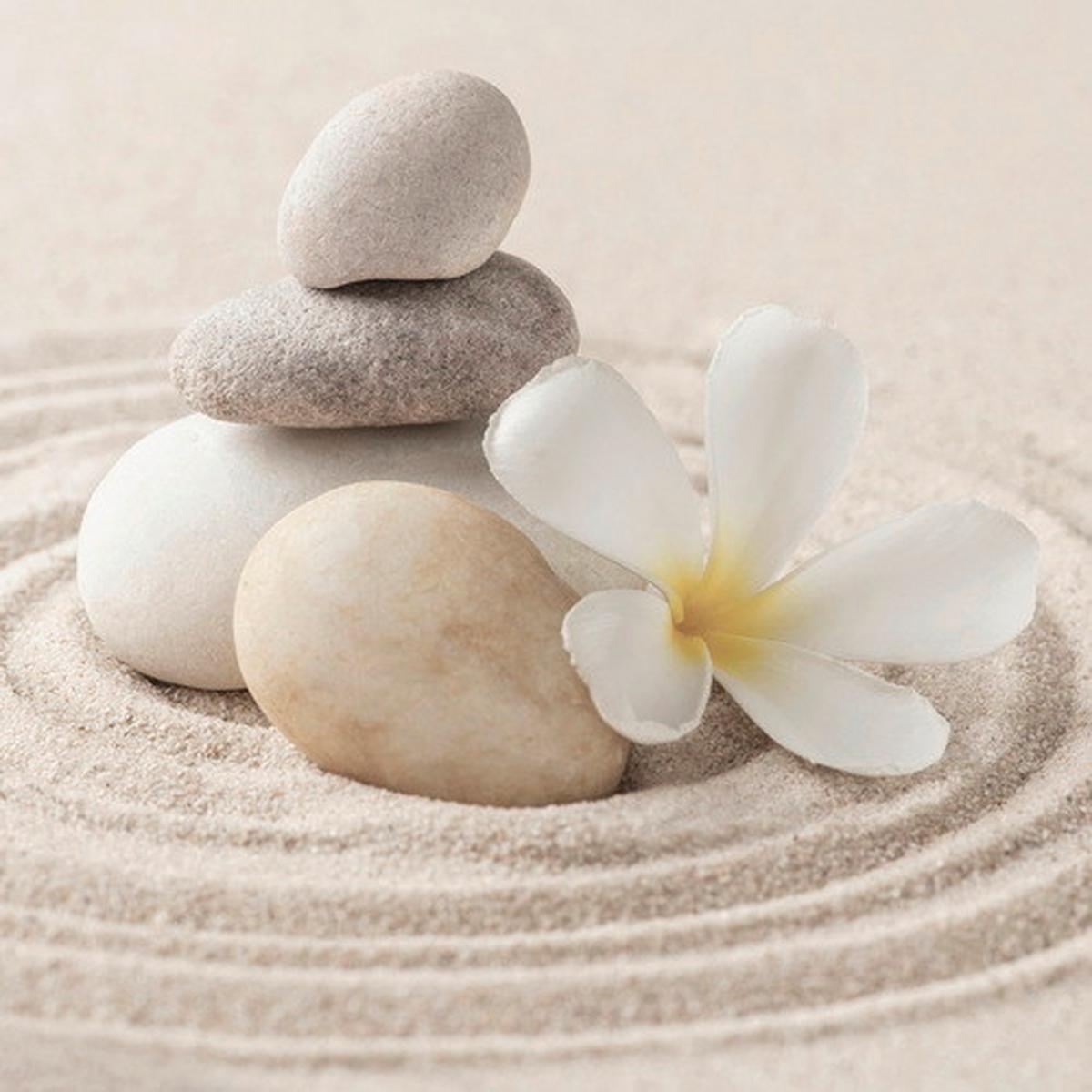 Vászonkép 28/28cm - többszínű, Basics, textil (28/28cm)