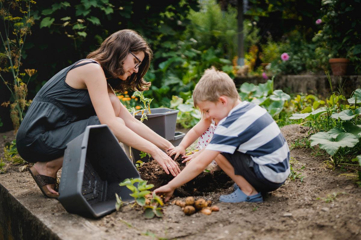 Übertopf Paul Kunststoff Outdoor B/H/T: 44x65x44 cm - Anthrazit, Basics, Kunststoff (44/65/44cm) - Gusta Garden