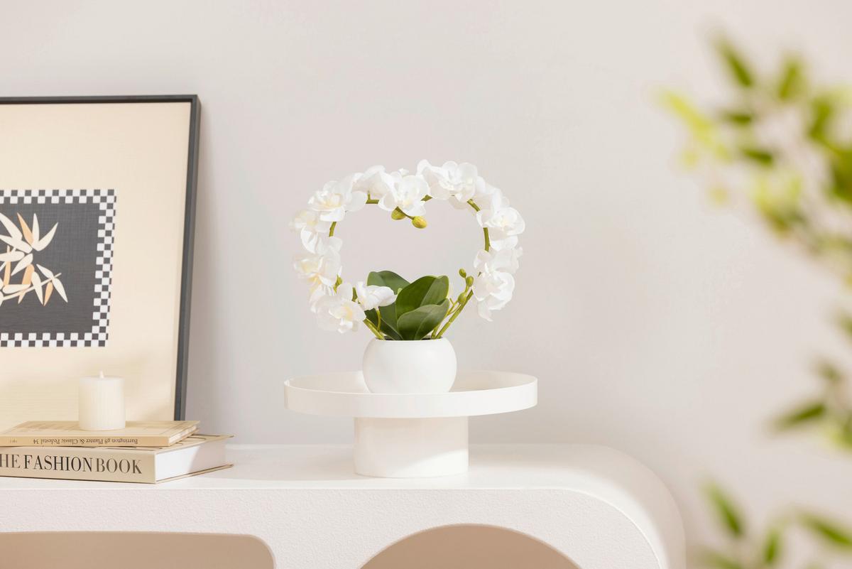 Orchidee Sigrid - Weiß/Grün, KONVENTIONELL, Keramik/Kunststoff (23/10/25cm) - Luca Bessoni