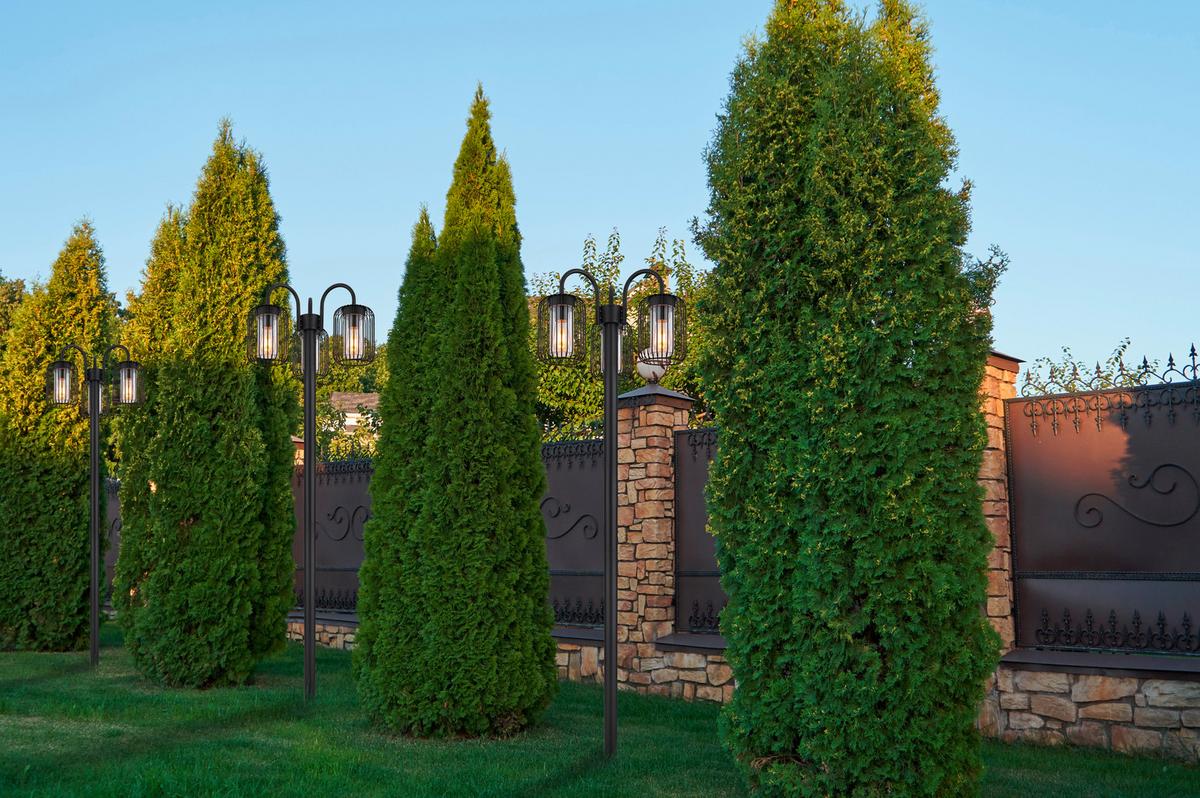 Außenleuchte 31986-3 Ip44 - Klar/Schwarz, Basics, Kunststoff/Metall (48,5/180cm) - Globo