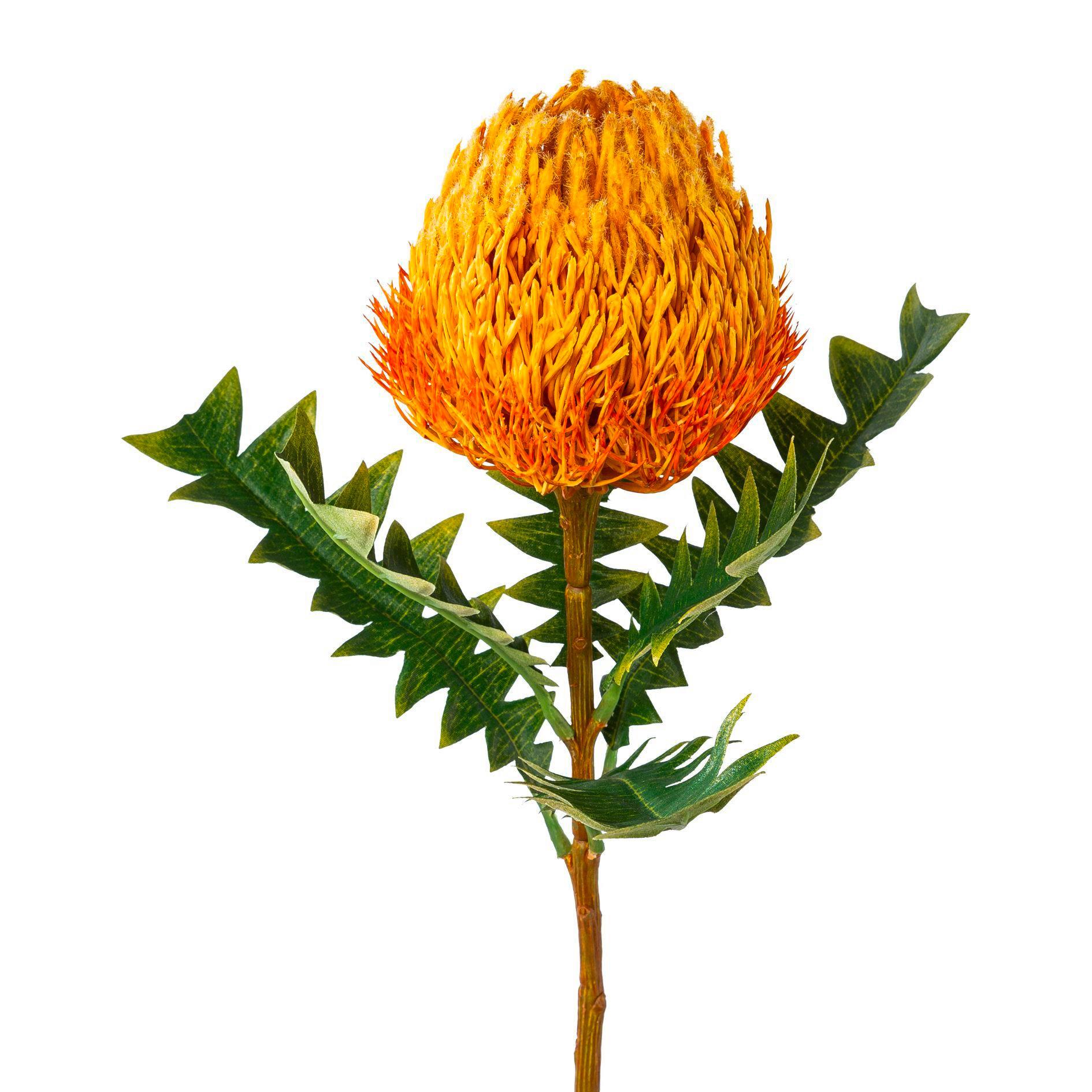 Kunstblume Banksia Orange L: 68 Cm, Ines