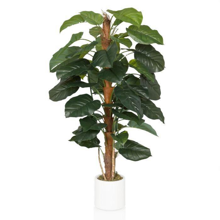 Kunstpflanze Braun/grün B: 67 Cm - Weiß/Braun, MODERN, Kunststoff (67/155/60cm) - MID.YOU