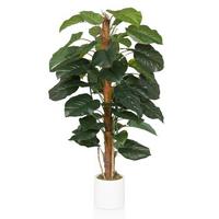 Kunstpflanze Braun/grün B: 67 Cm - Weiß/Braun, MODERN, Kunststoff (67/155/60cm) - MID.YOU