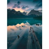 Fototapete Burning Emerald - Multicolor, Trend, Papier (200/280cm)