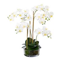 Kunstpflanze Orchidee Weiß, Topf: Glas, H: 50 Cm - Transparent/Weiß, Design, Glas/Kunststoff (50cm) - P & B