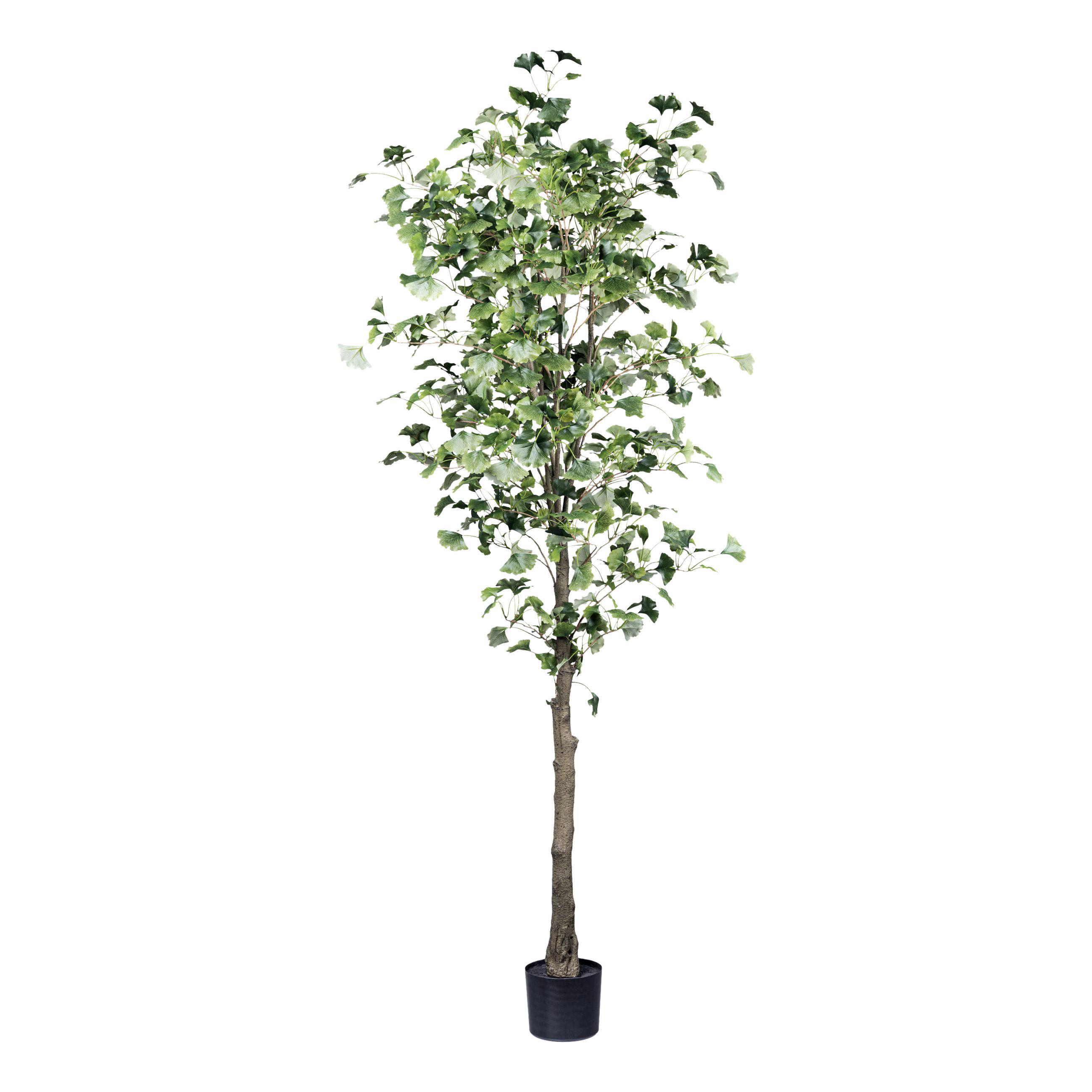 Kunstpflanze Gingkobaum H: 210 cm - Schwarz/Braun, Design, Kunststoff (210cm) - P & B