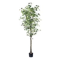 Kunstpflanze Gingkobaum H: 210 cm - Schwarz/Braun, Design, Kunststoff (210cm) - P & B