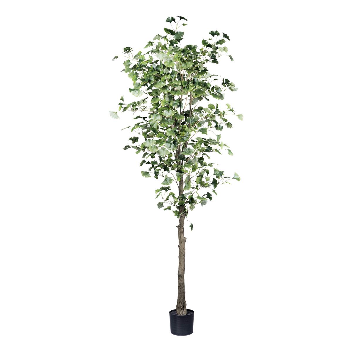 Kunstpflanze Gingkobaum H: 210 cm - Schwarz/Braun, Design, Kunststoff (210cm) - P & B