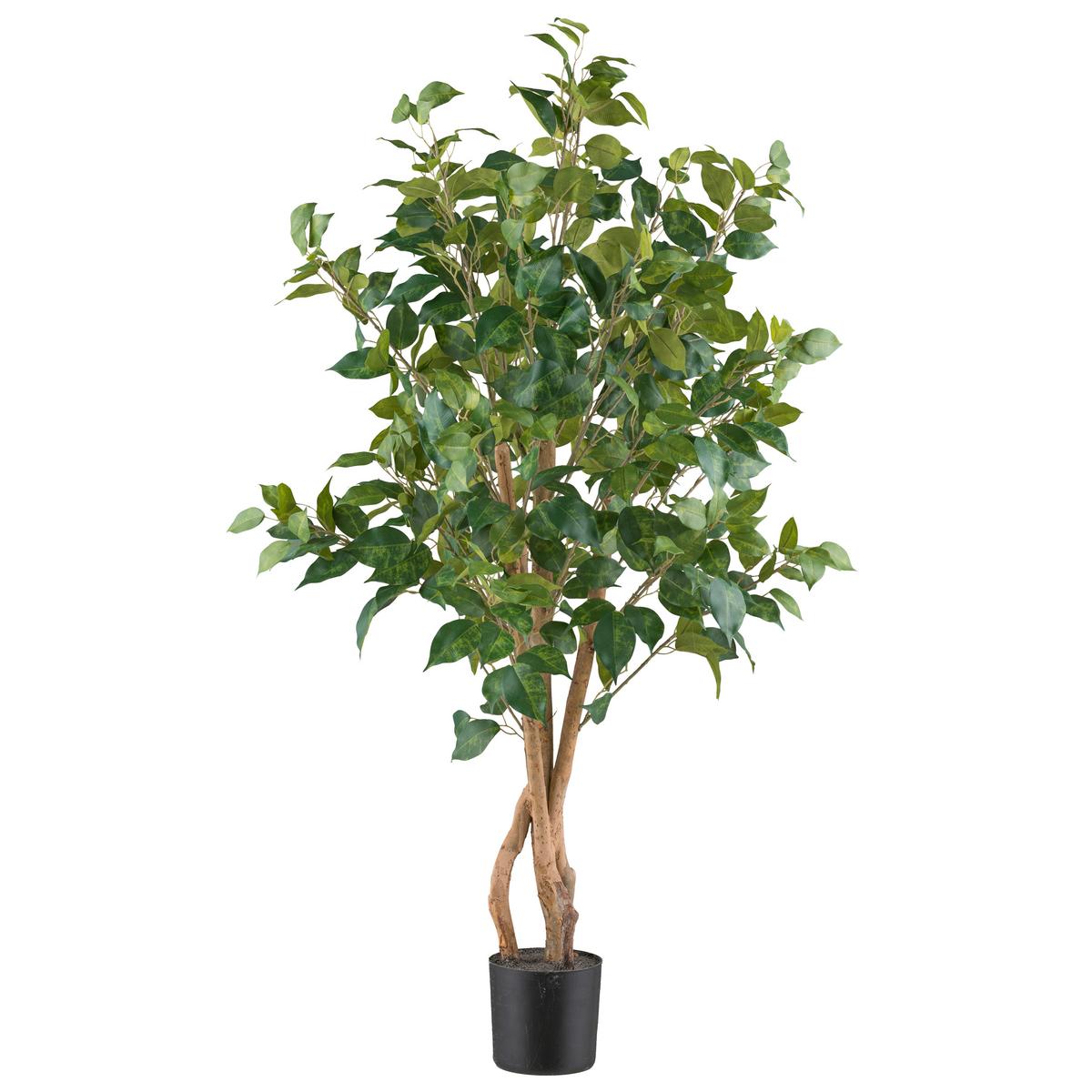 Umělá rostlina FICUS BENJAMINA, výška 110cm - černá/zelená, Konvenční, plast (11,5/110cm) - Mömax