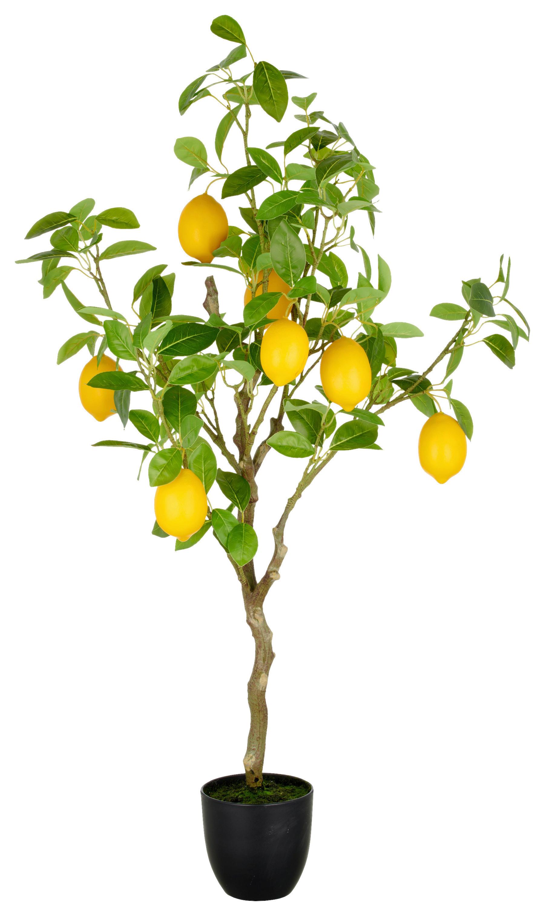 Kunstpflanze Gelb Grün Braun B: 21 Cm - Gelb/Braun, Basics, Kunststoff (21/115/21cm)