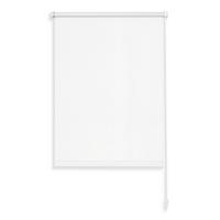 Rollo Mona - Weiß, MODERN, Kunststoff (45/160cm) - Luca Bessoni