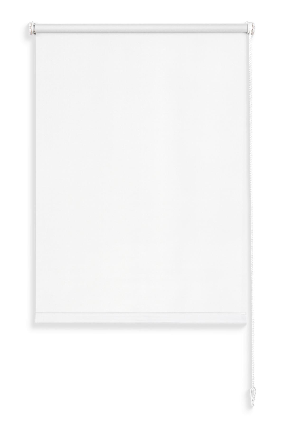 Rollo Mona - Weiß, MODERN, Kunststoff (45/160cm) - Luca Bessoni