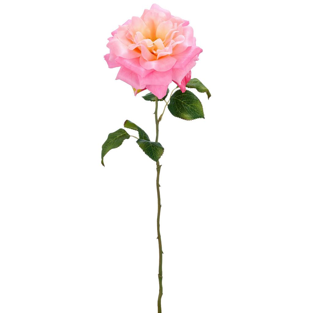 Gartenrose rosa, ca. 55 cm