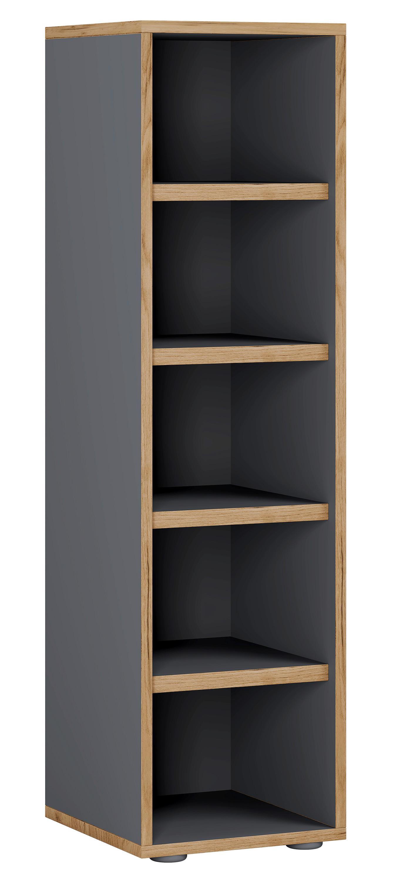 Skrinka na topánky SALIA Antracitová/dub medový - čierna/dub medový, Design, kompozitné drevo/plast (30/110/33cm) - MID.YOU
