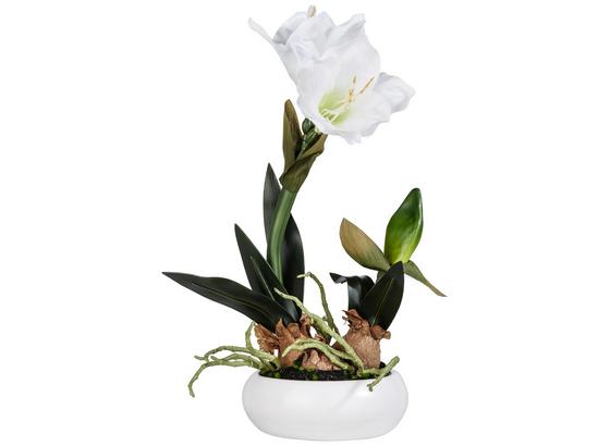 Květina Umělá Vera I - bílá/zelená, kov/umělá hmota (40cm) Květina Umělá Vera I - bílá/zelená, kov/umělá hmota (40cm)