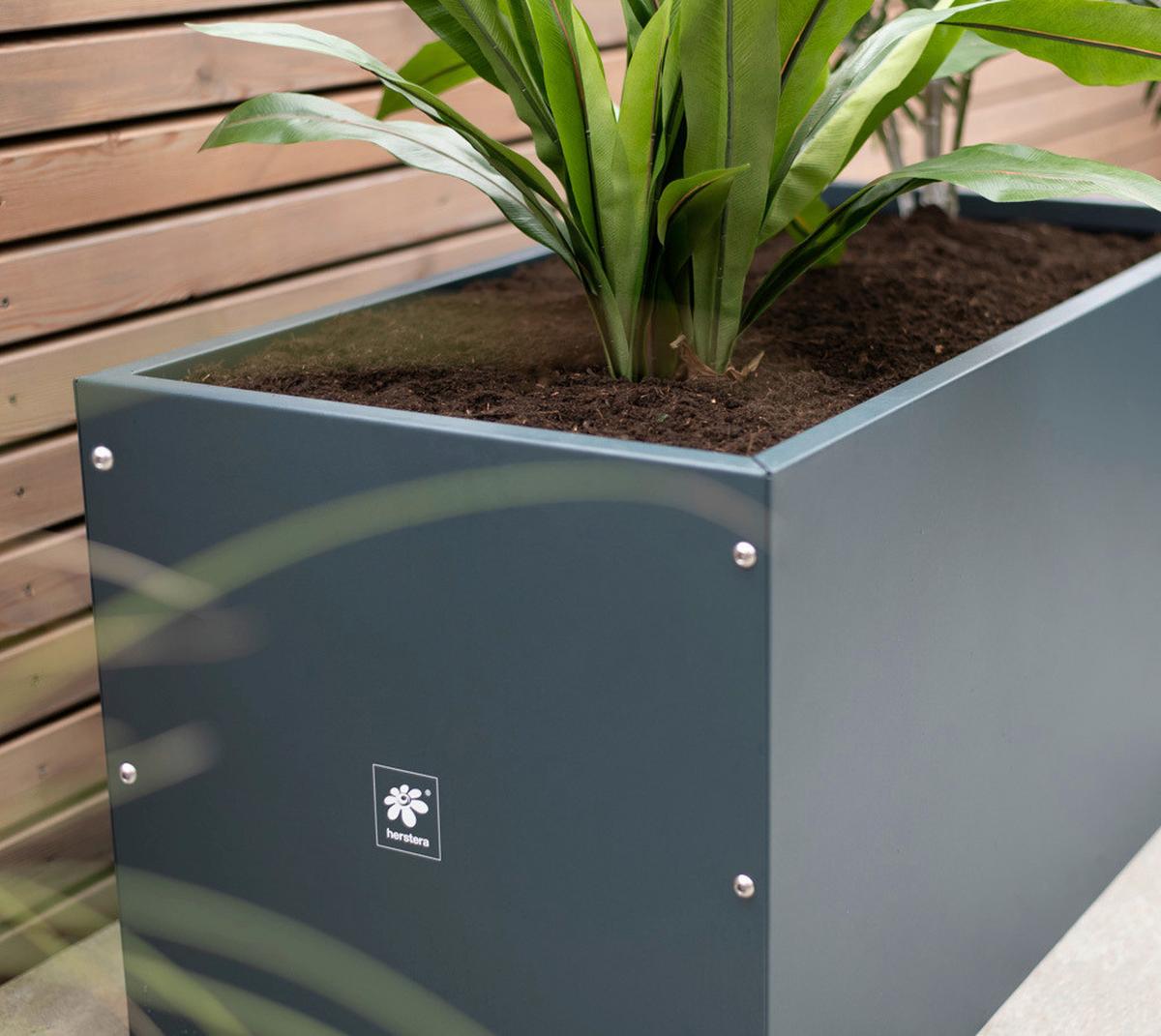 Pflanzentopf Pflanzkasten 100x50x50 - Anthrazit, Basics, Metall (50/50/100cm)