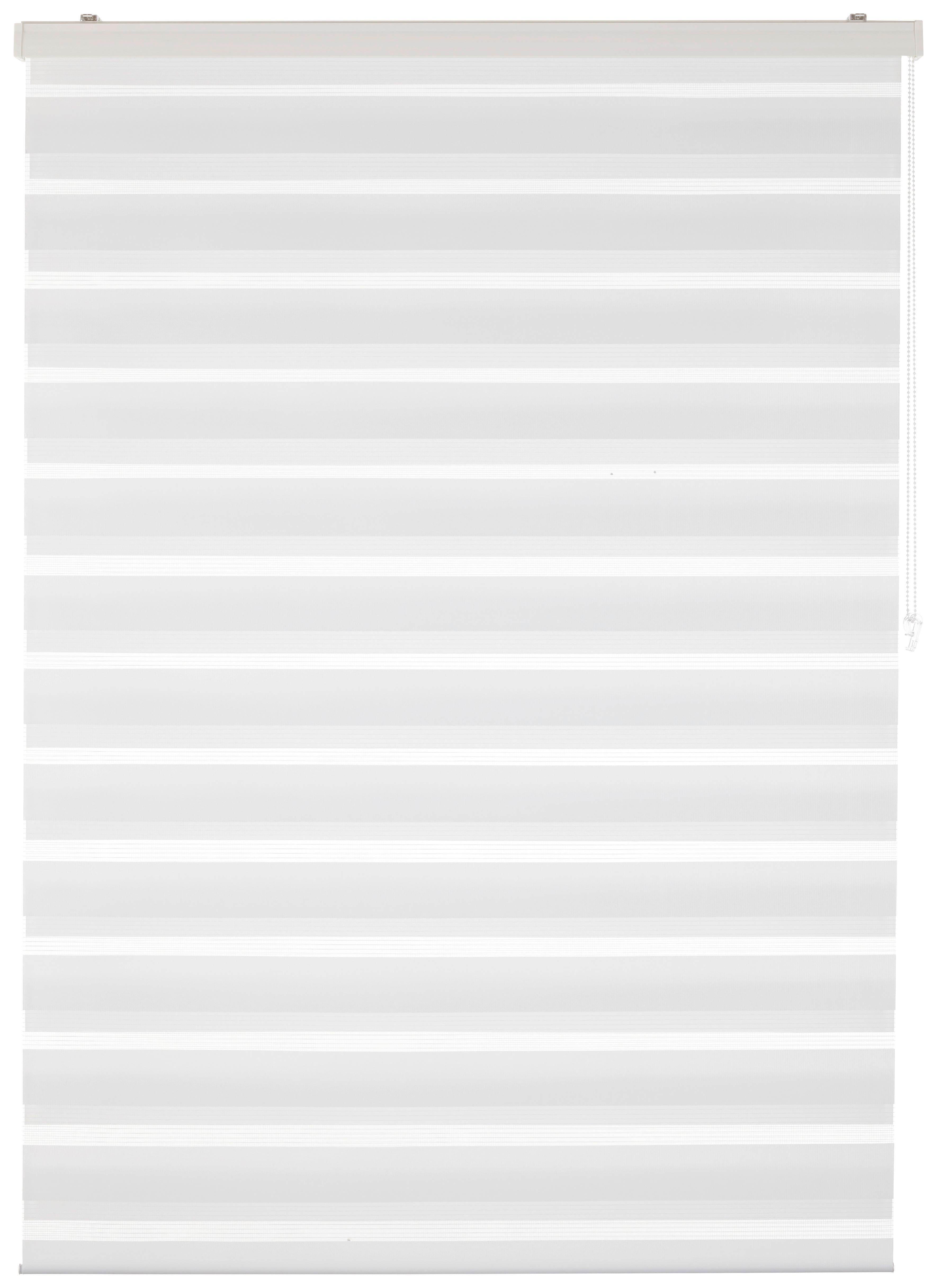 DUÁLNÍ ROLETA Thomas, 120x160cm, bílá - bílá, textil/plast (120/160cm) - Premium Living