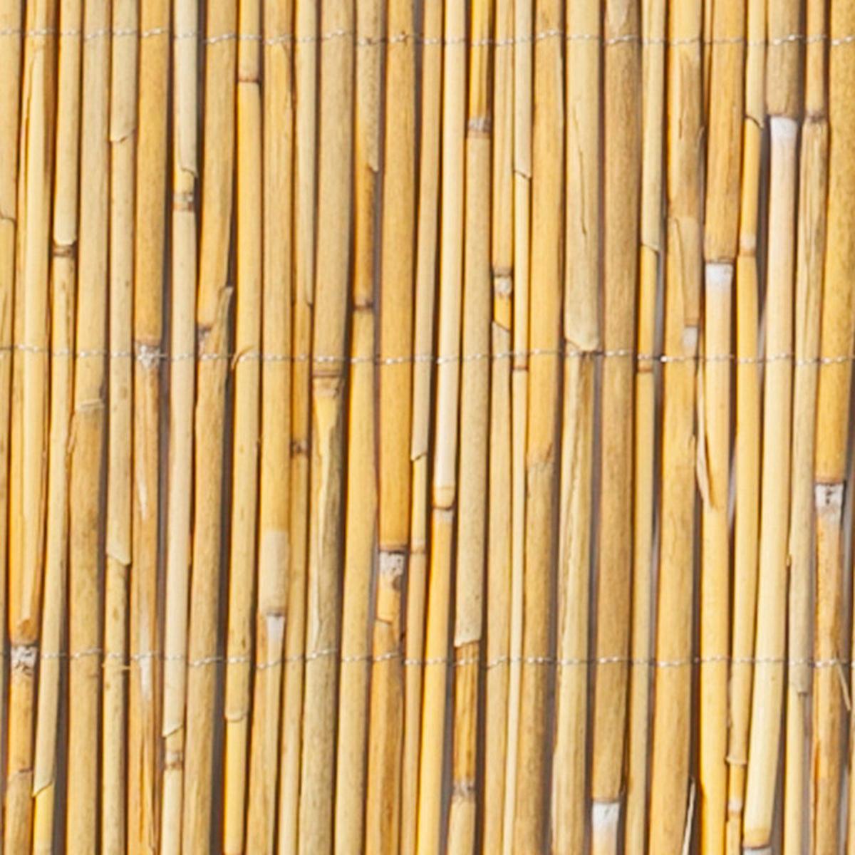 Sichtschutz Nantai Natur Schilf 600x140 cm - Naturfarben, Basics, Naturmaterialien (140/600cm)