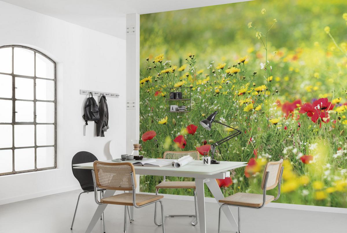Fototapete Wiesenzauber Ii - Multicolor, Trend, Textil (450/280cm)