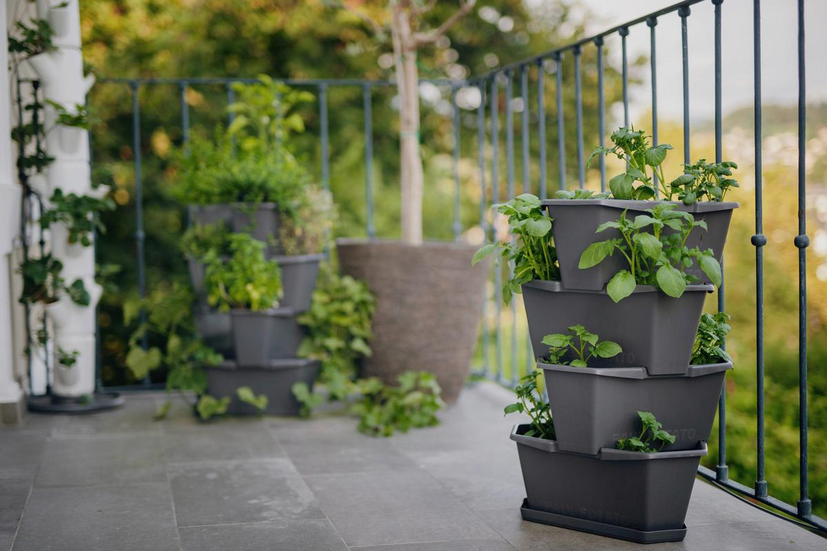 Übertopf Paul Kunststoff Outdoor B/H/T: 44x65x44 cm - Anthrazit, Basics, Kunststoff (44/65/44cm) - Gusta Garden