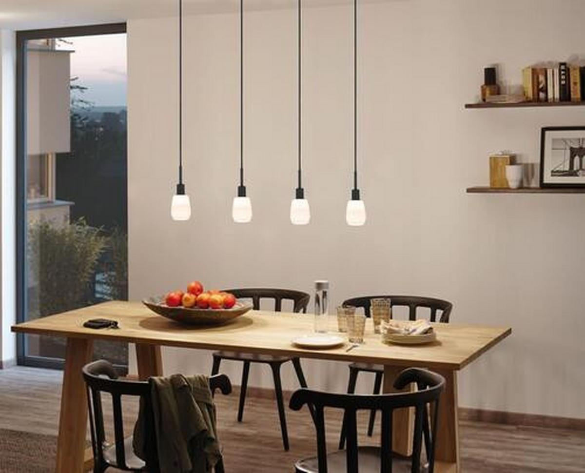Schienensystem Urail Hängeleuchte 96912 Schwarz - Schwarz, Basics, Kunststoff/Metall (132cm) - Paulmann