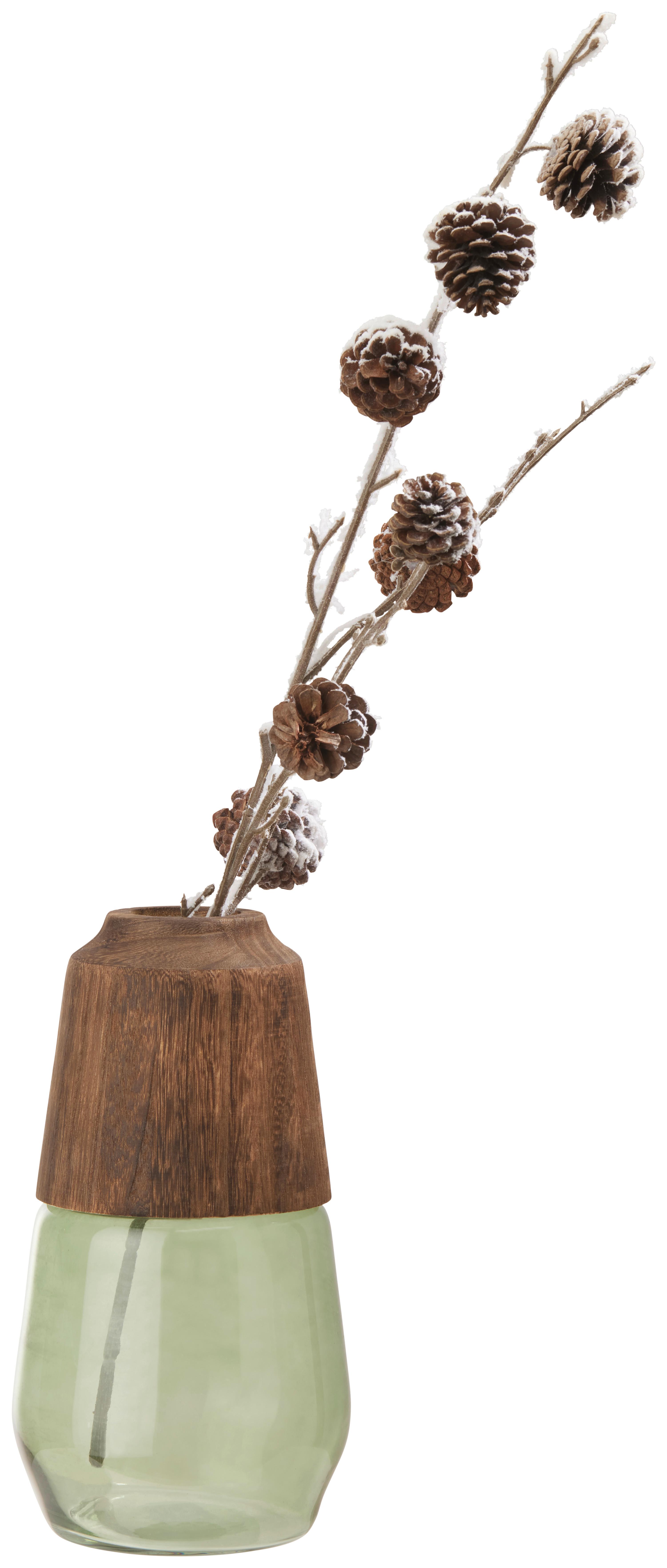 Váza Wood, Výška: 29cm - hnedá/zelená, drevo/sklo (16/29cm) - Premium Living