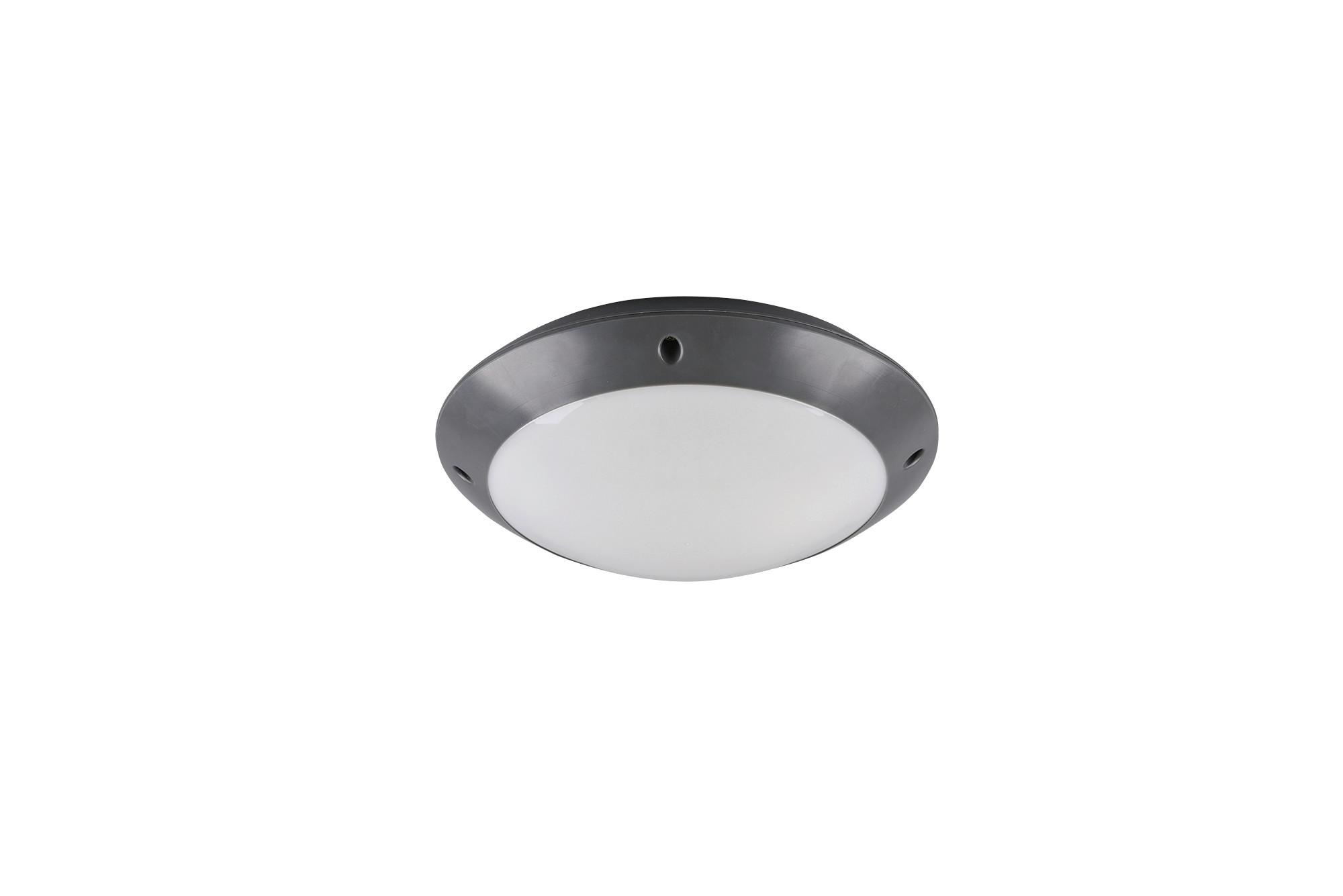 Außendeckenleuchte R60501042 Camaro - Basics (26/8,5cm)