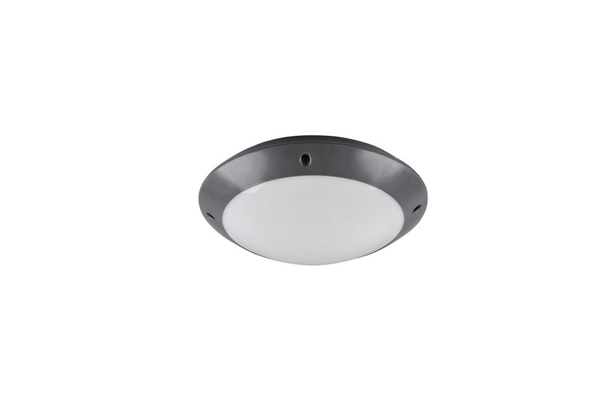 Außendeckenleuchte R60501042 Camaro - Basics (26/8,5cm)
