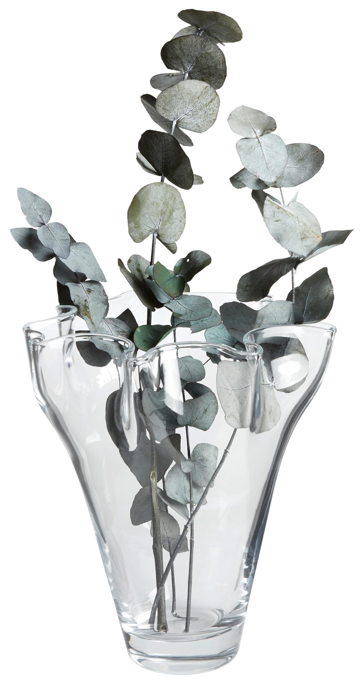 Vase Daniela Zylindisch Glas Transparent H: 20 cm - Klar, MODERN, Glas (21/30cm) - James Wood