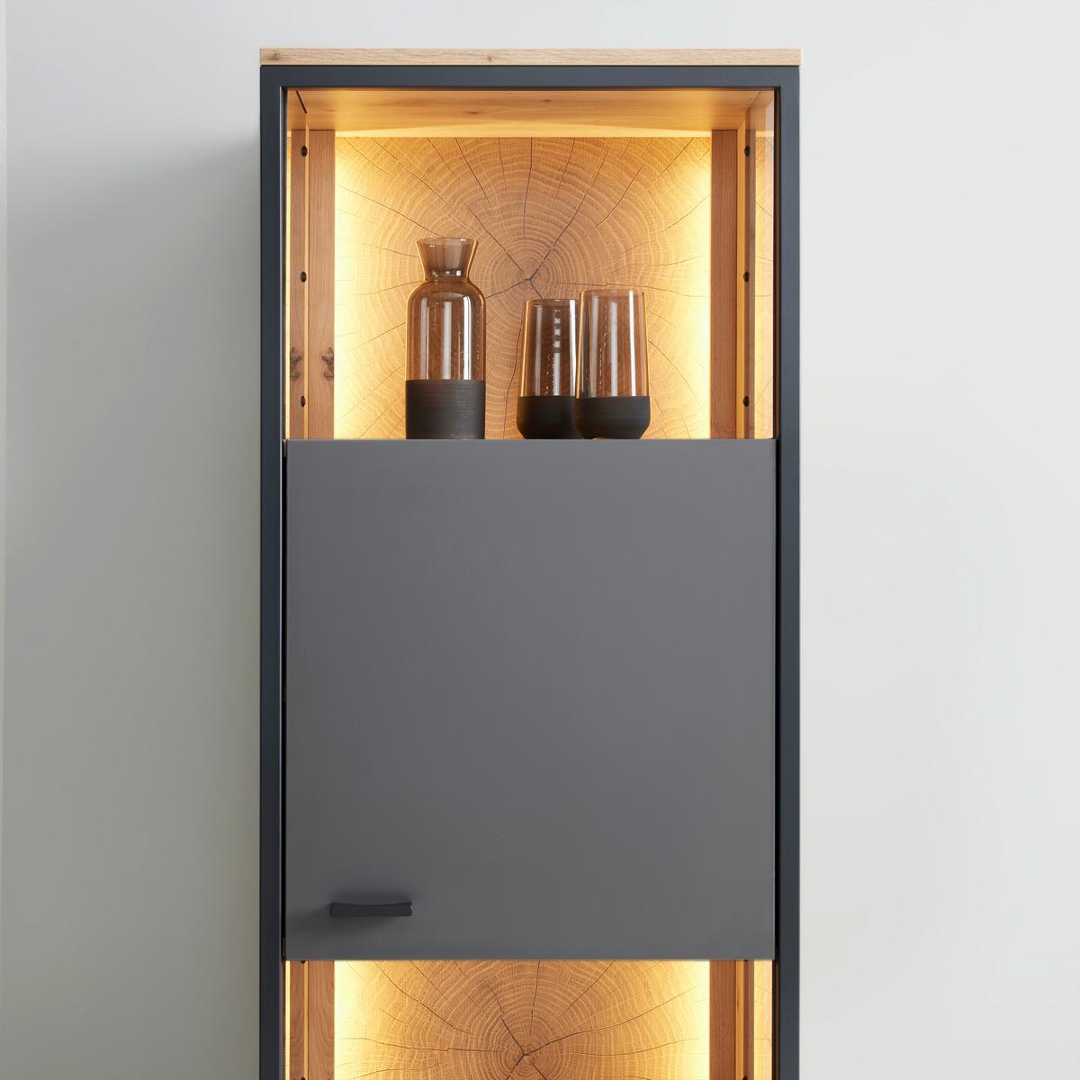 ZÁVĚSNÁ VITRÍNA FLORENZ - šedá/černá, Moderní, kov/kompozitní dřevo (50/119,9/38cm) - Premium Living