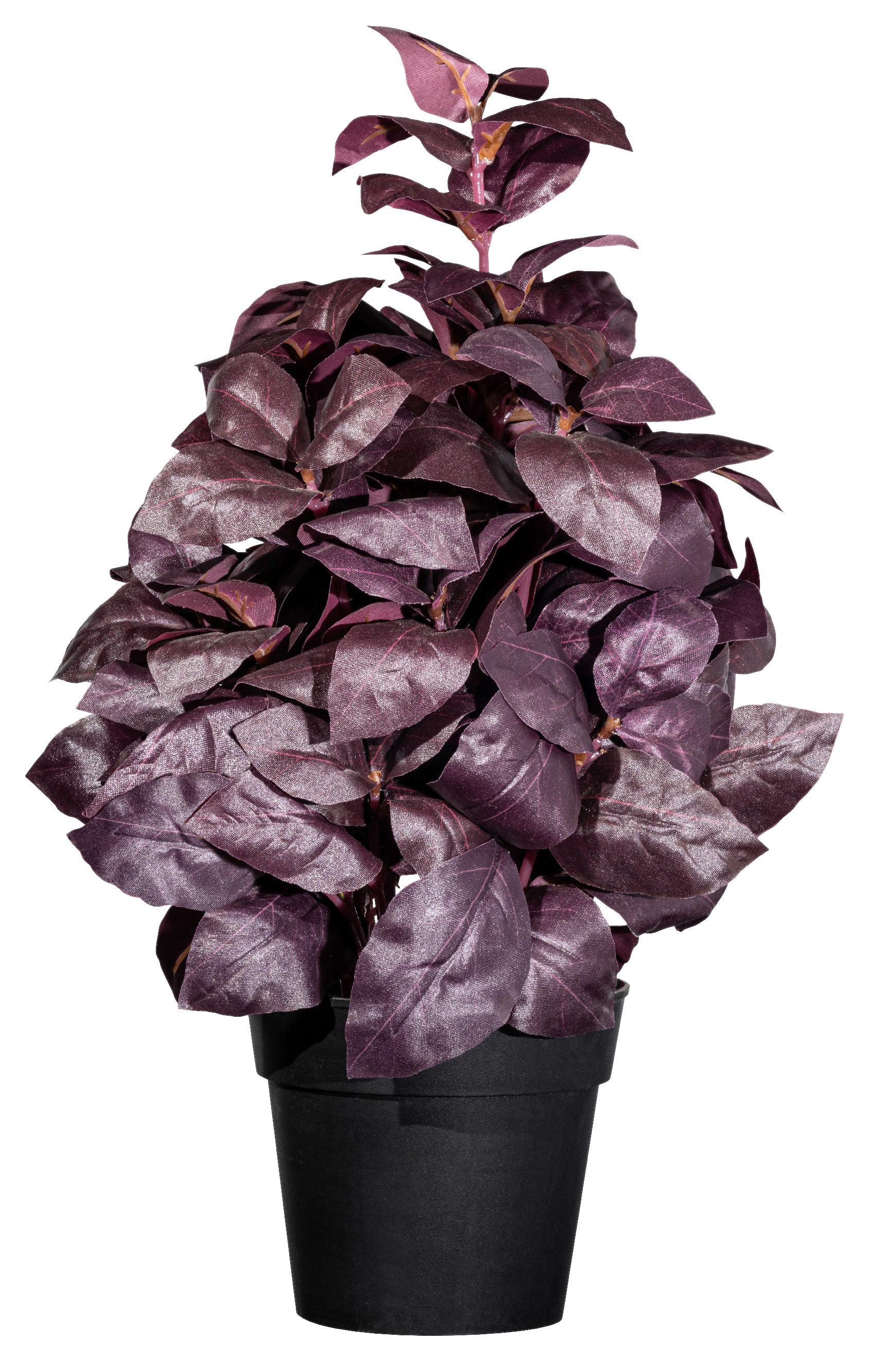 Kunstpflanze Kräuter Schwarz/bordeaux, 30 Cm - Bordeaux/Schwarz, Design, Kunststoff (30cm) - P & B