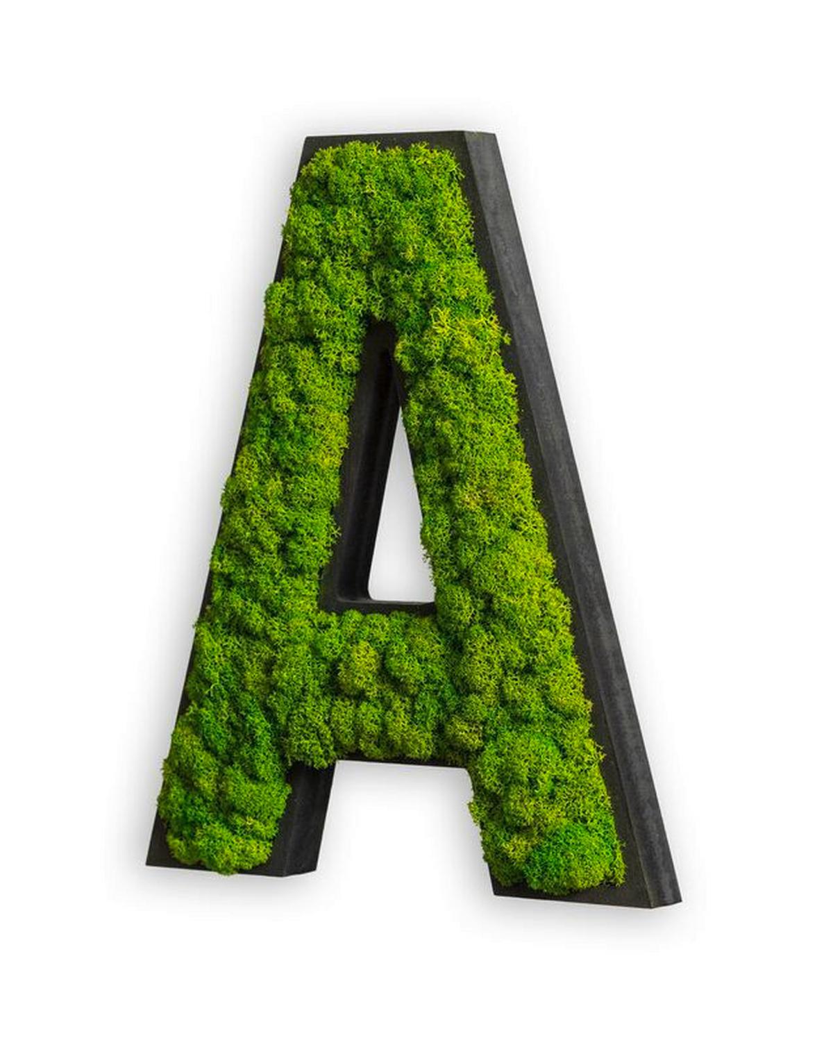 Moosbild Grün B: 26 cm - Schwarz/Grün, Basics, Naturmaterialien/Holz (26/21/4cm)